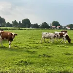 Luxus Cube Am Mit Schwimmbad In Nl *