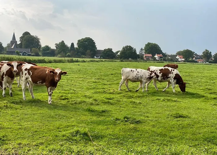 Luxus Cube Am Mit Schwimmbad In Nl *