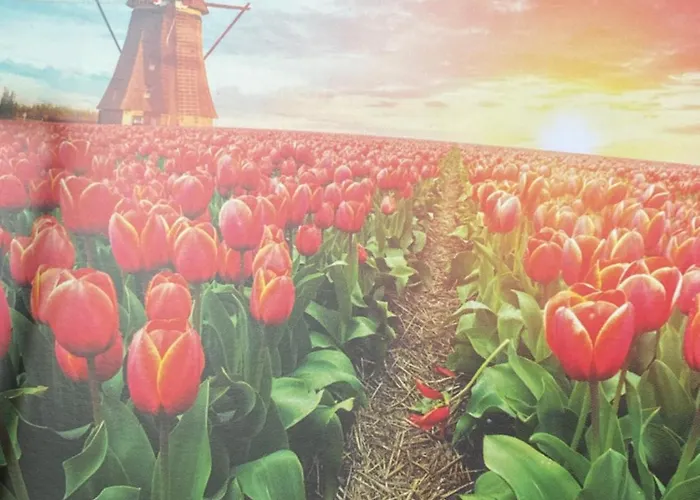 Luxus Cube Am Mit Schwimmbad In Nl *