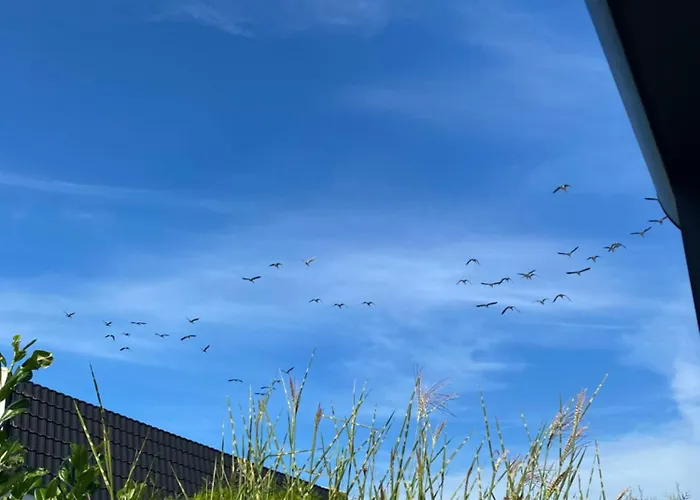 Semesterbostad Luxus Cube Am Mit Schwimmbad In Nl *