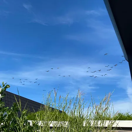 Prázdninový dům Luxus Cube Am Mit Schwimmbad In Nl *